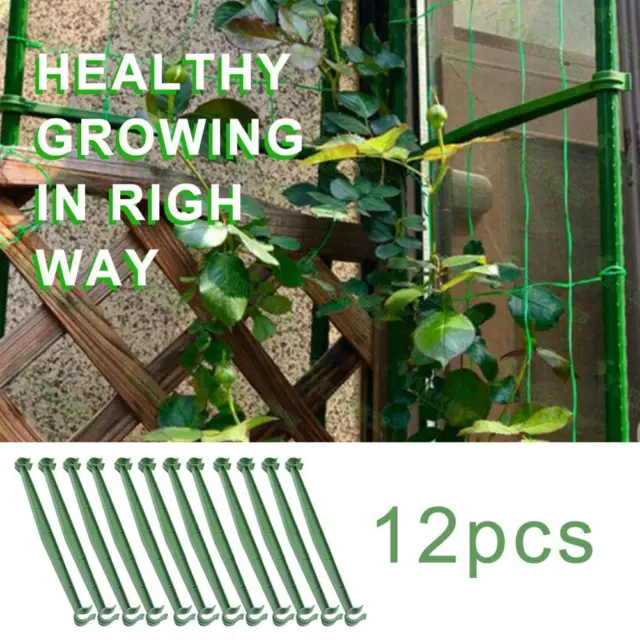 fr 12pcs Plant Climbing Rack Arms Cage Potted Garden Vine Support Frame Stake