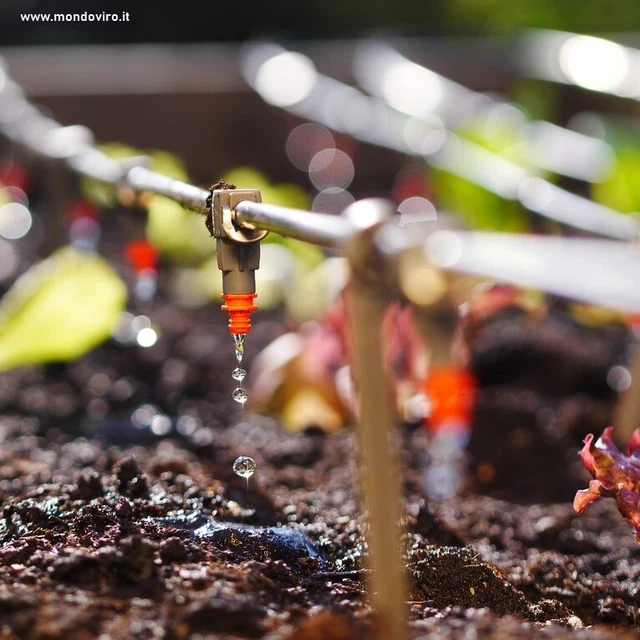 Programmatore per irrigazione analogico elettronico Papilon timer giardino acqua 4