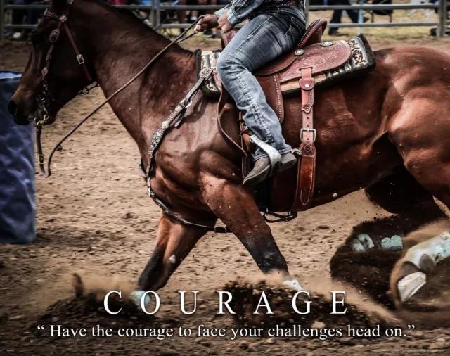 Rodeo Motivational Poster Art Print Cowboy Cowgirl Western Horse Wall Decor