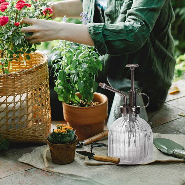 GARTEN SPRÜHFLASCHE MIT Feinem Nebel Sprühflaschen Für Pflanzen EUR 18