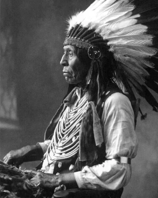 Native American Indian CHIEF WILD HORSE 16x20 Photo Oglala Sioux Print Poster