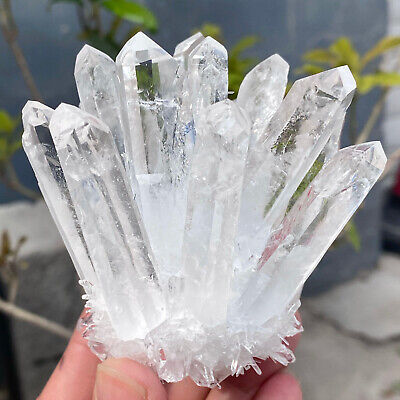 245G Clear white quartz crystal cluster Mineral specimen from madagat healing.
