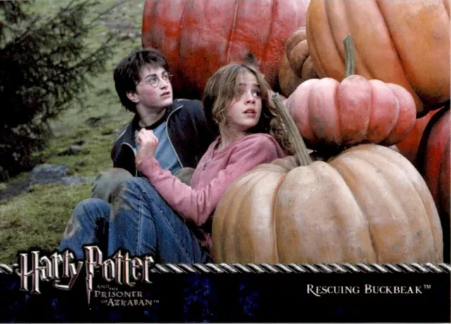 Harry Potter Prisoner of Azkaban (UK) 2004 - Rescuing Buckbeak No. 66