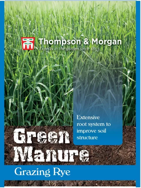 Thompson & Morgan Green Manure Grazing Rye Garden Plant Hardy Annual Garden Seed