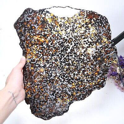 755g Beautiful SERICHO pallasite Meteorite slice - from Kenya C4881