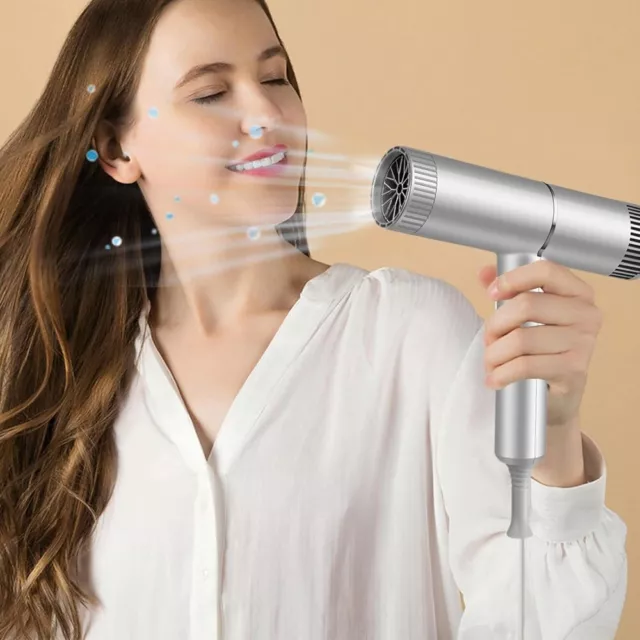 Fast Drying Electric Hair Dryer Quiet Hairdryer  Household