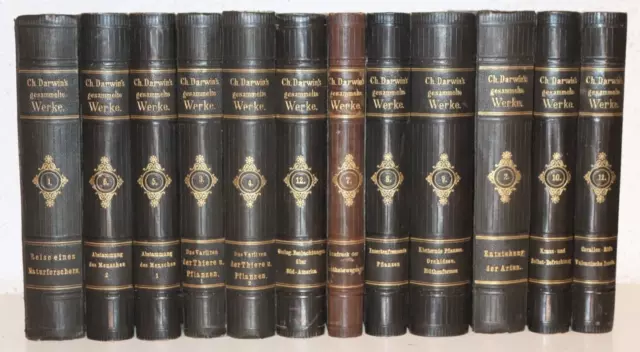 Prachteinband, Charles Darwin, Gesammelte Werke, 12 Bände, Illustriert, 1875-78
