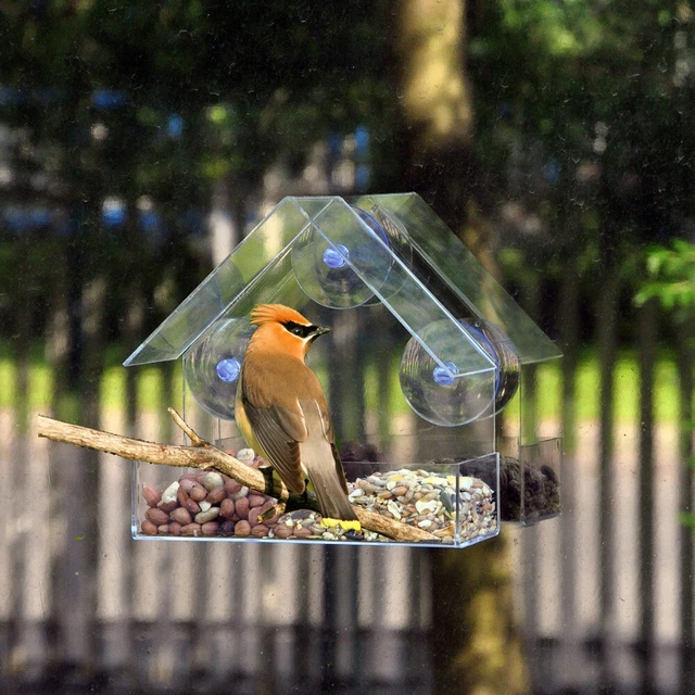 Tisch Hängefenster Saugglas Vogelfutter Hotel Viewing Other Für Balkongeländer