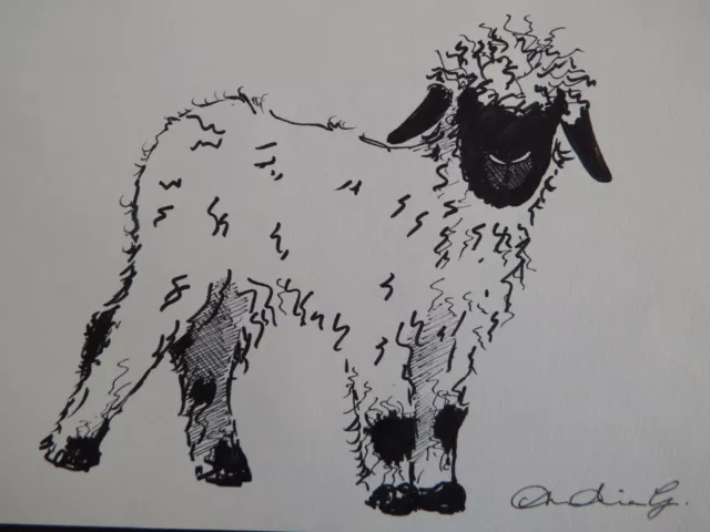 Original black pen & ink wash drawing of a Valais Blacknose Sheep / lamb