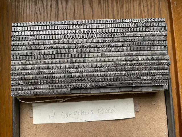 letterpress printing metal type Corvinus Bold  14Pt
