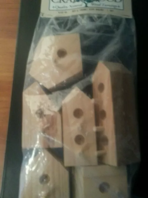 Wooden Chunky Birdhouses set (6) unstained from Darice for crafting and painting