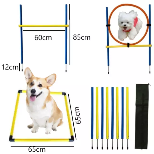 Set agilità cani addestramento animali domestici sport per cani inclusa borsa leggera DEU