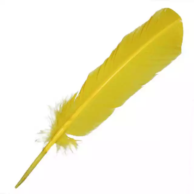 Plumes palette de dinde - 25 à 30 cm - Lot de 5 - Couleur plumes: Jaune