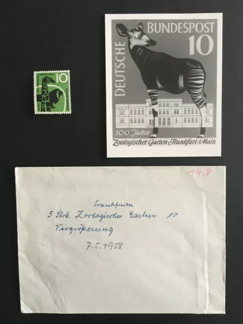 BRD FOTO-ESSAY 288 FRANKFURT ZOO 1958 TIERE OKAPI PHOTO-ESSAY DRAFT RARE!! e1332