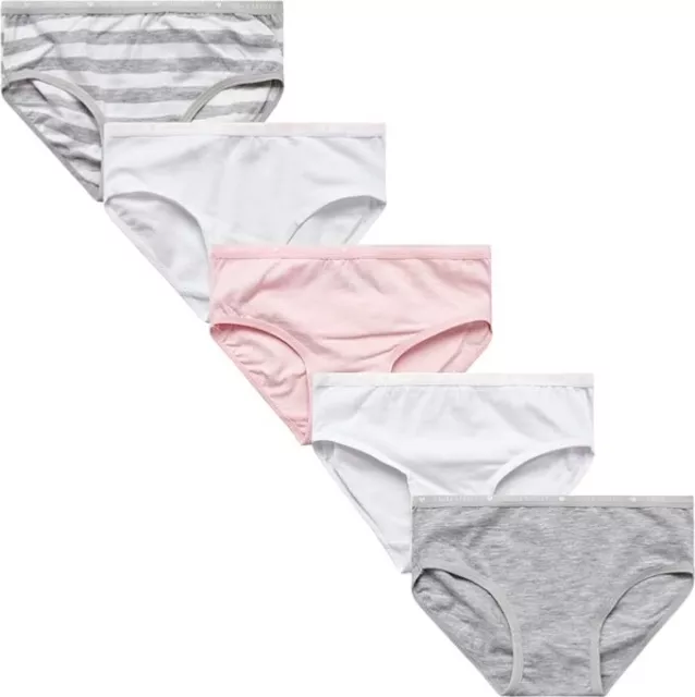 Laura Ashley Underwear Underpants 5 Girls 2T 3T 4Toddler Print