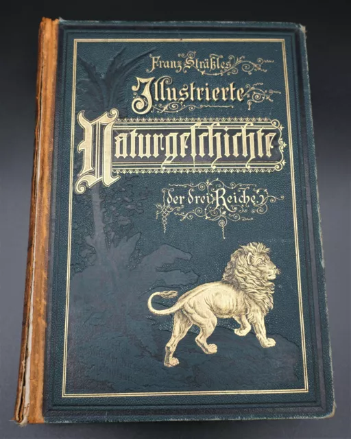 Buch "Illustrierte Naturgeschichte" - Franz Sträßle - 1888