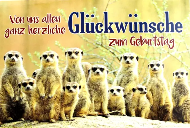LUSTIGE GEBURTSTAGSKARTE MIT Erdmännchen Karte Geburtstag
