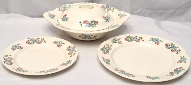 Vintage Jas Broadhurst Maytime Serving China Set 1 Bowl 2 Plates Floral 1950's!