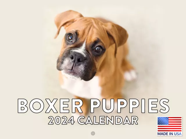 Boxer Puppy Cute Dog 2024 Wall Calendar