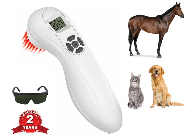 Dispositivo veterinario terapia laser a freddo con occhiali di sicurezza