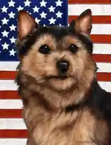 Patriotic (D2) Garden Flag - Black and Tan Norwich Terrier