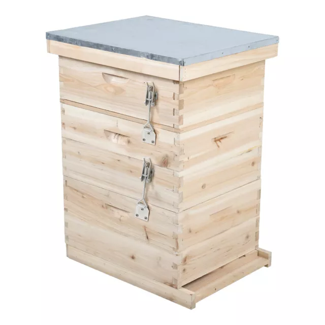 Langstroth Beehive Box 3 Tiers Wooden Hive Frames Beekeeping Honey Brood Box