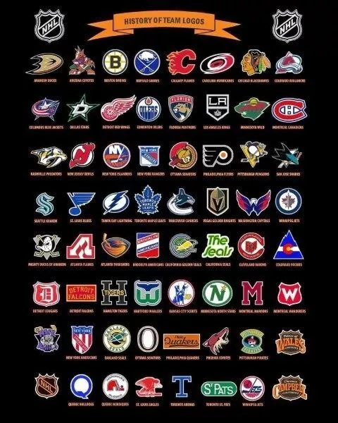 NHL HOCKEY UNIVERSE Team Logos All 32 Teams 22x34 Wall POSTER