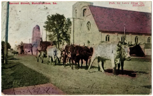 NATCHITOCHES, LA - Cattle Oxen Pulling Cart on Second Street Louisiana Postcard