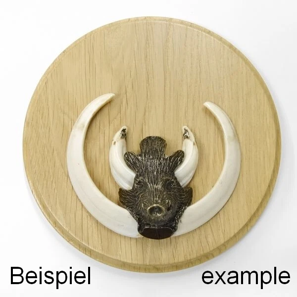 Placa de Jabalí Redondo Claro Af 15 CM Con Jabalí Cabeza Decoración Pequeño 2