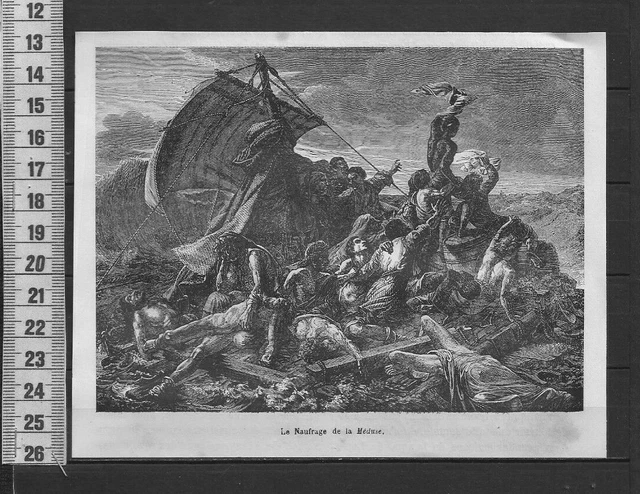 G104 / Engraving 1880 / The Shipwreck Of The Jellyfish