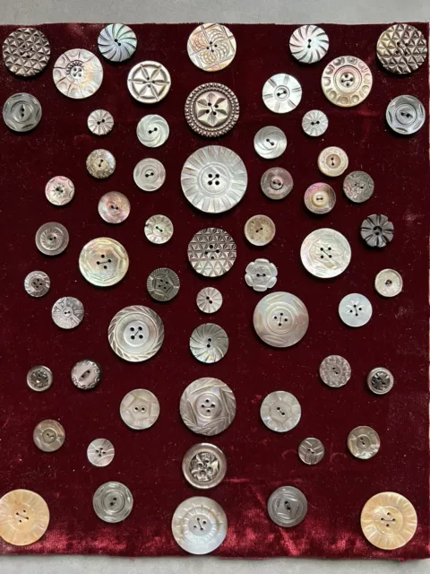 61 Antique Mother Of Pearl Buttons Hand Carved Ornate And Gorgeous Vintage