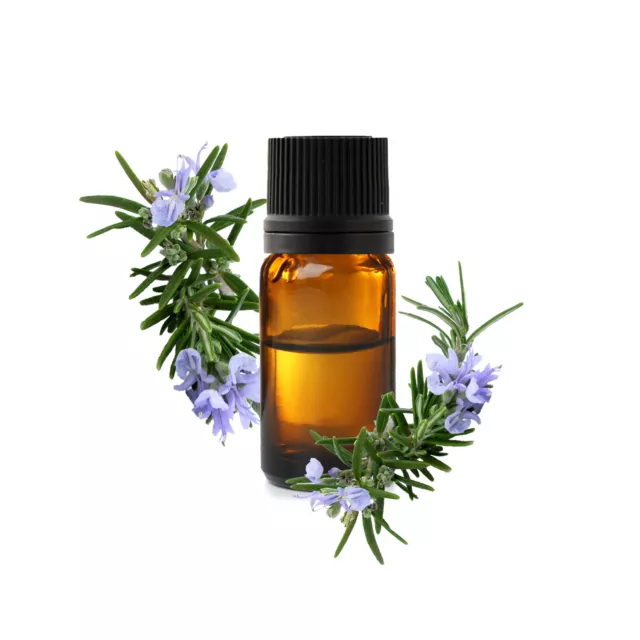 Romarin À Verbénone Huile Essentielle Bio Bien Être Soin Aromatherapie Bienfait 2