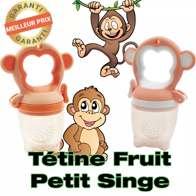 Tetine Grignoteuse Bebe, Sucette à Fruits, Tétine d'alimentation pour Bébé  : : Bébé et Puériculture