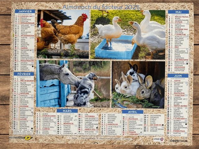 Calendrier 2025 Animaux de la Ferme : Un Voyage Champêtre au Fil des Mois