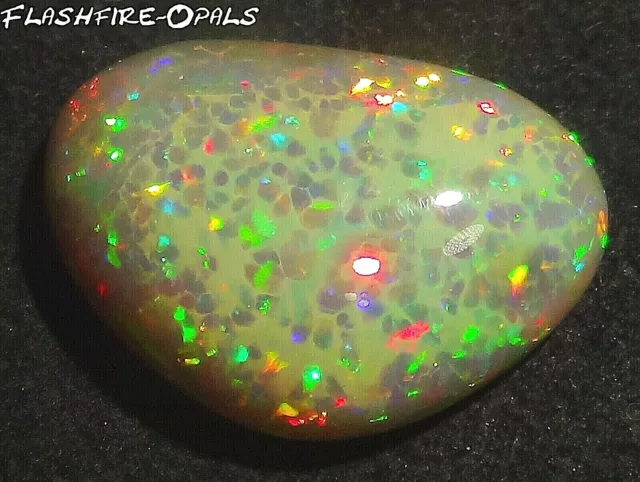 22,1ct. Nid D Dark Gemme Welo Opale Brill. Rot-Gold-Grün Video Flashfire-Opals