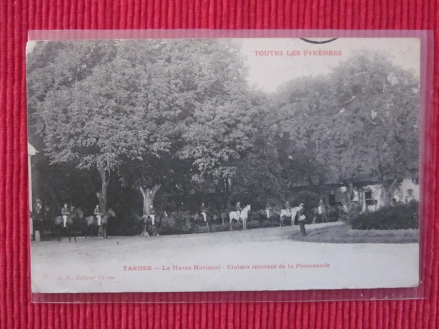 CPA ECRITE TIMBRE TARBES LE HARAS NATIONAL ETALONS PROMENADE Pyrénées 65