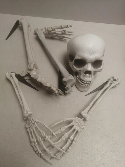 Set mit 5 Skelett-Knochen und Totenkopf, Kunststoff, gruseliges Skelett für Hall