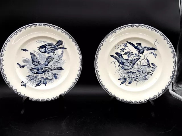 Clairefontaine- Service Ete- Oiseaux -2  Belles Assiettes Plates En Terre De Fer