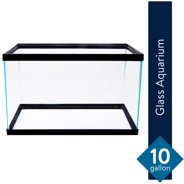 10 Gallon Fish Tank Aquarium Desktop Beta Family Hobby Home Office Entertainment