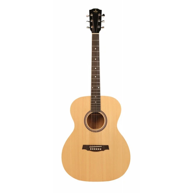 Prodipe Guitars SA25 - Guitare Acoustique auditorium