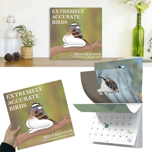 2024 CALENDAR OF EXTREMELY ACCURATE BIRDS 2024 Bird Calendar Wall