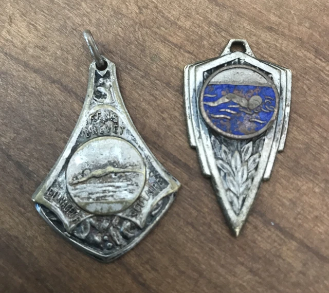 Médaille brevet insigne police municipale maître chien brigade