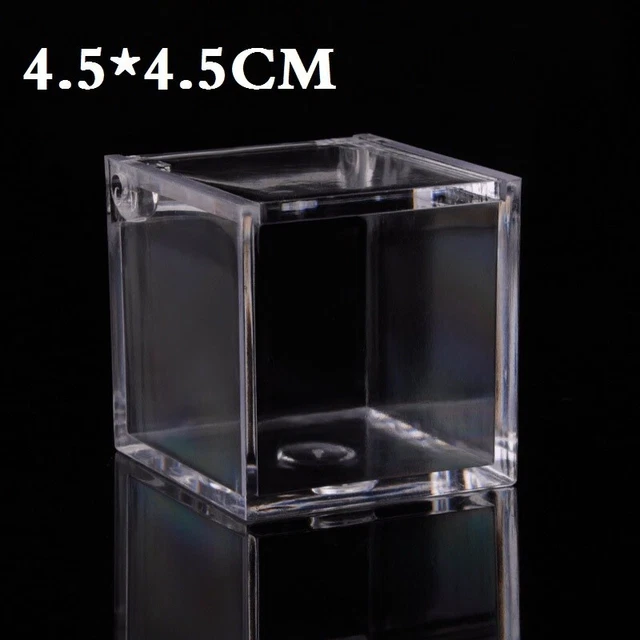 Scatola di plastica permanente accessori per feste 12 pz permanenti piccoli PS plastica
