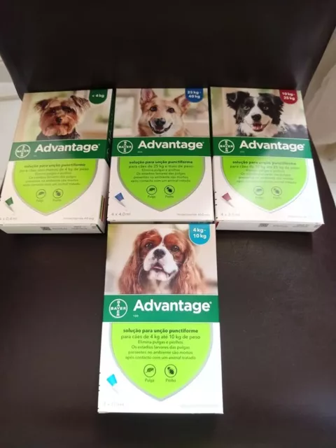 ADVANTAGE¹anti Puces chien dog flea treatment 4 pipettes 1-40 kg XS-S-M-L-XL 3