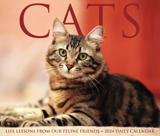 Gioco Per Gatti: il miglior del 2024 - The Pet Life