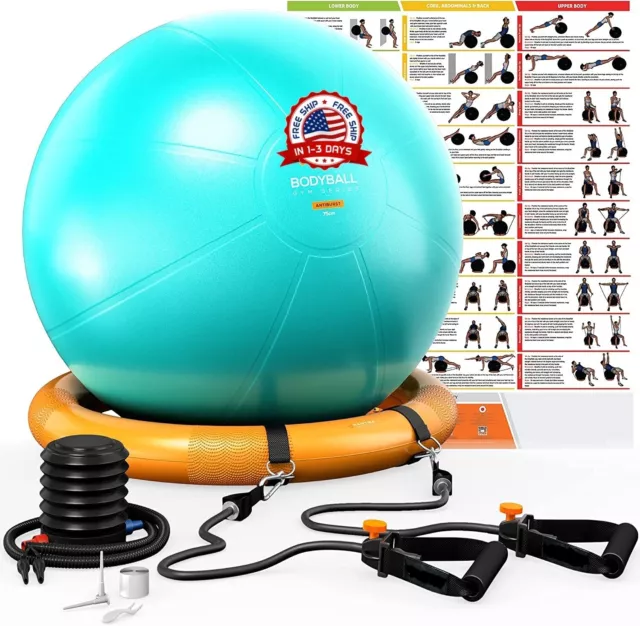 Accesorios para hacer ejercicio bola de ejercicios 65cm gym pilates, Yoga Ball