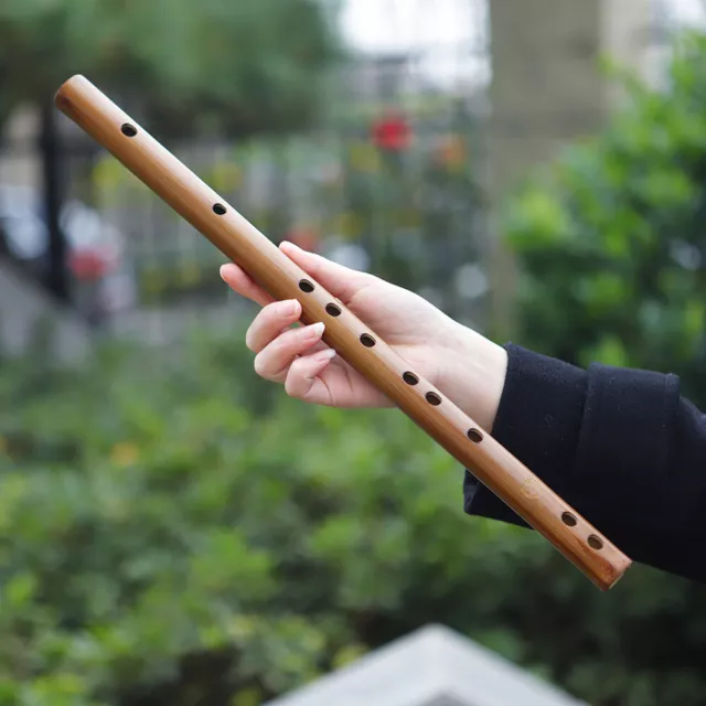Bamboo Dizi Flute Professional Woodwind Chinese Musical Instrument C D E F G Key 3