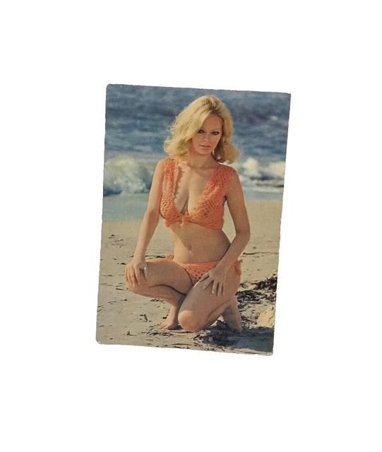 POSTCARD GERMANY EROTIC Woman Knitted Swimsuit Old Vintage Collectible ...