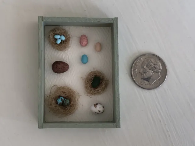 1:12 Mini Egg Specimen Collection Picture Shadow Box Handmade Easter Dollhouse