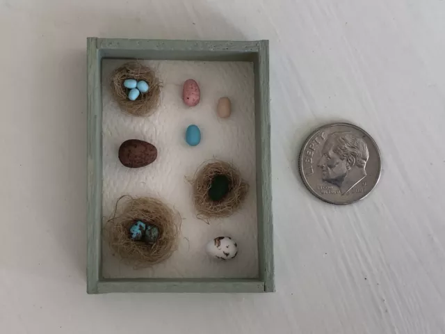 1:12 Mini Egg Specimen Collection Picture Shadow Box Handmade Easter Dollhouse